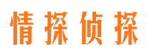 民和市侦探调查公司